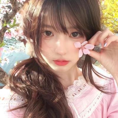 恋恋飞翔